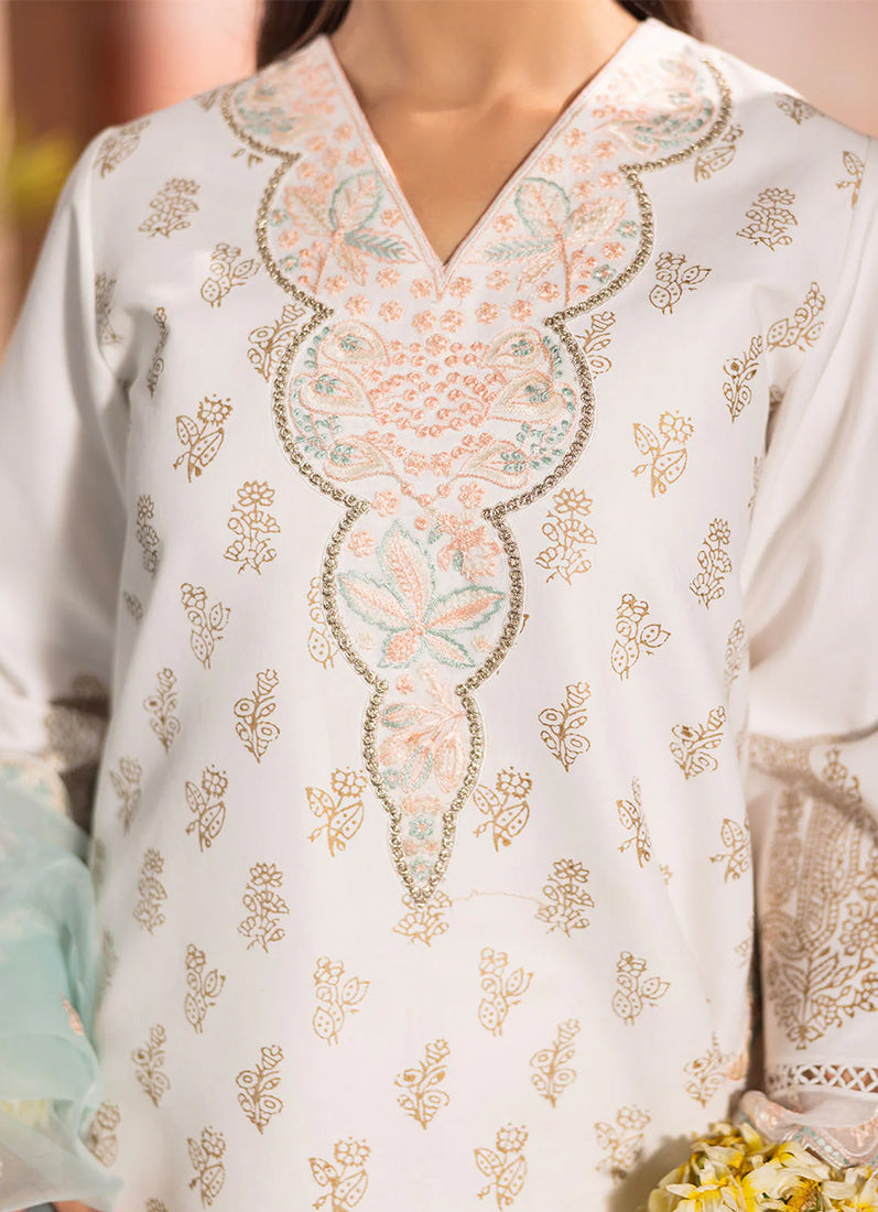 Sky Blue Silk Printed Suit Set