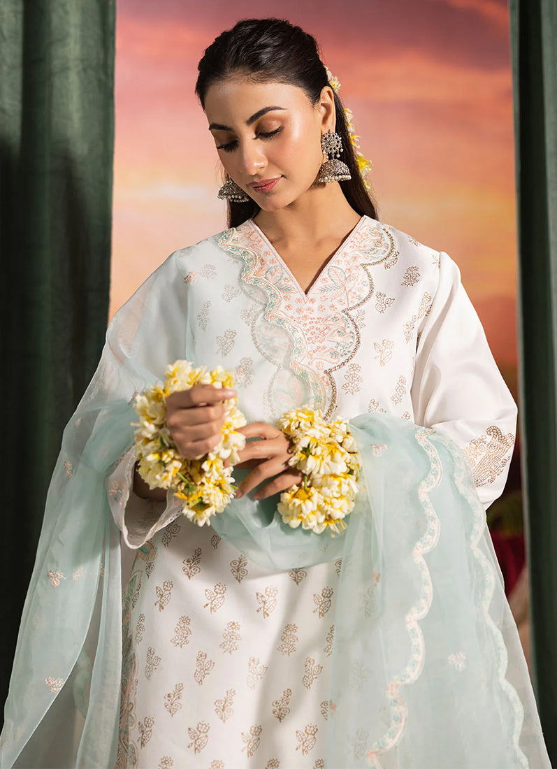 Sky Blue Silk Printed Suit Set