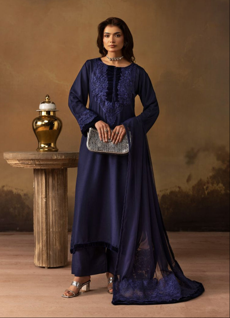 Sophisticated Blue Dhanak Suit Set