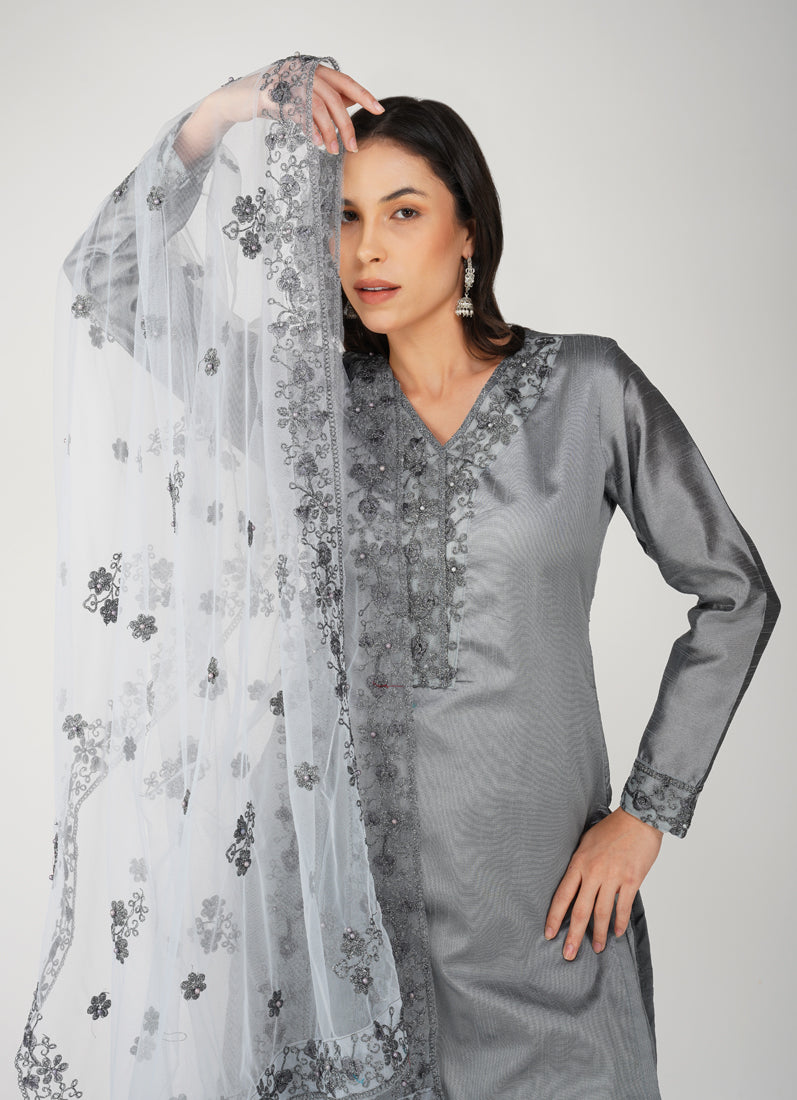 Grey Dupion Zari Embroidered Suit Set