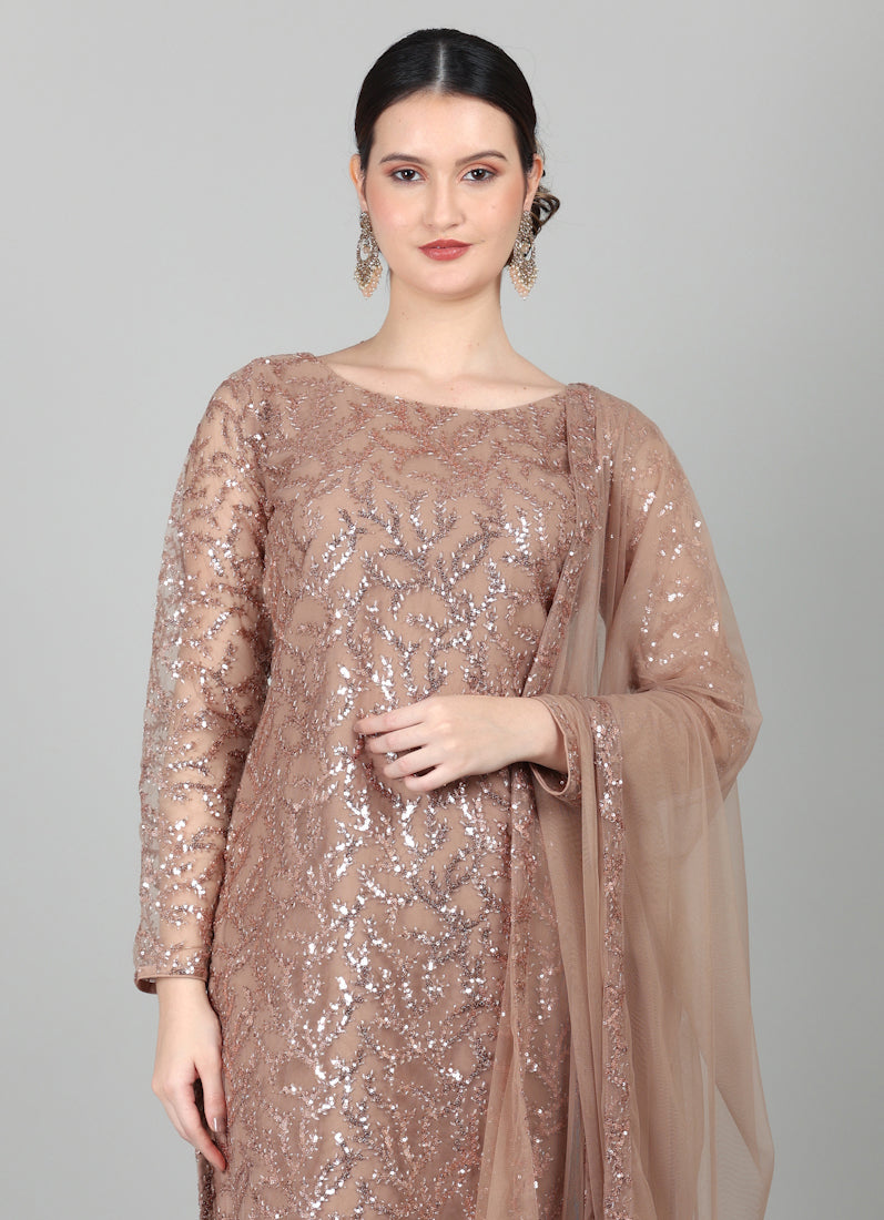 Mouse Brown Net Sequins Embroidered Suit Set