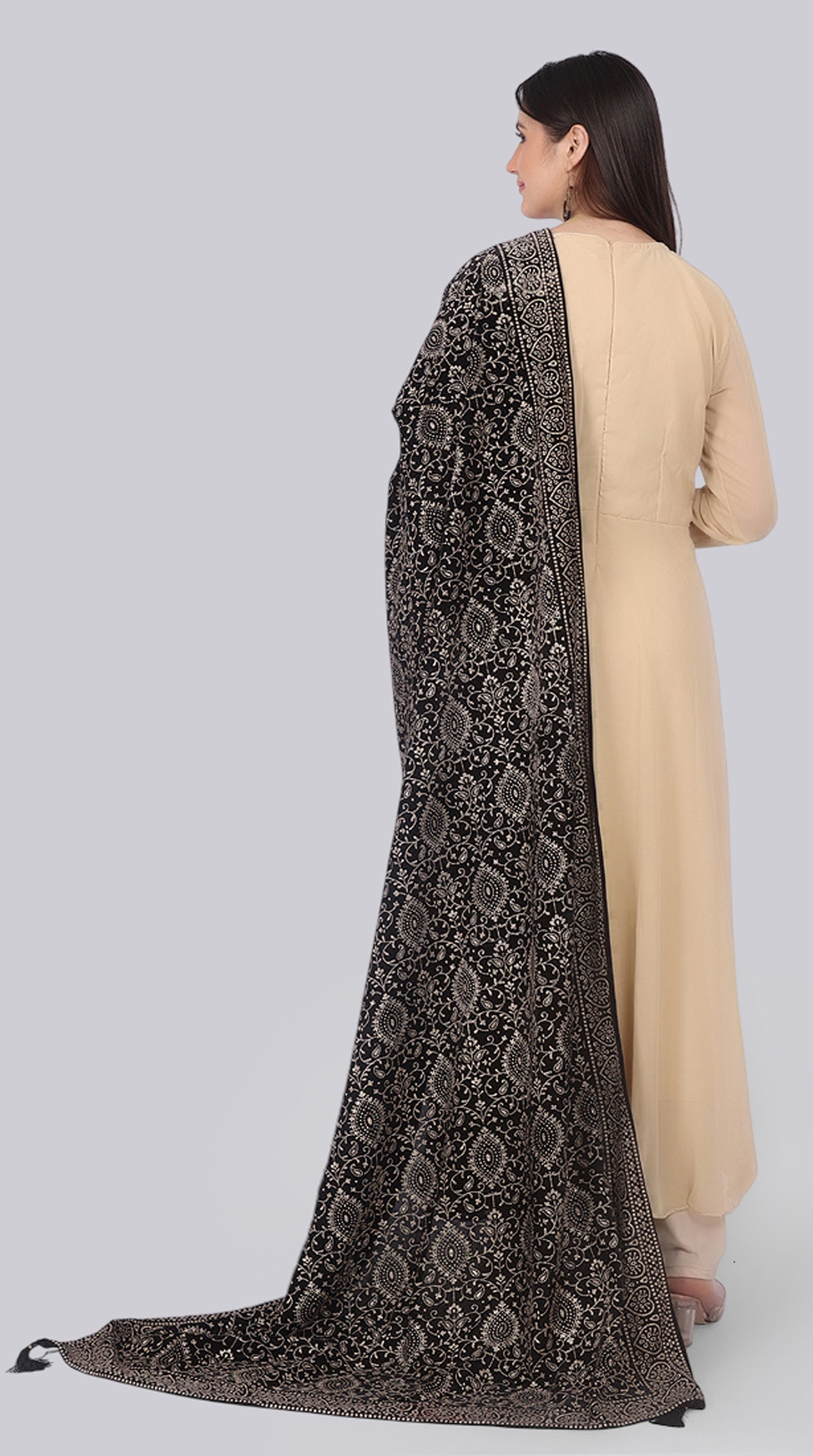 Beige Georgette Bias-Cut Suit Set with Velvet Dupatta