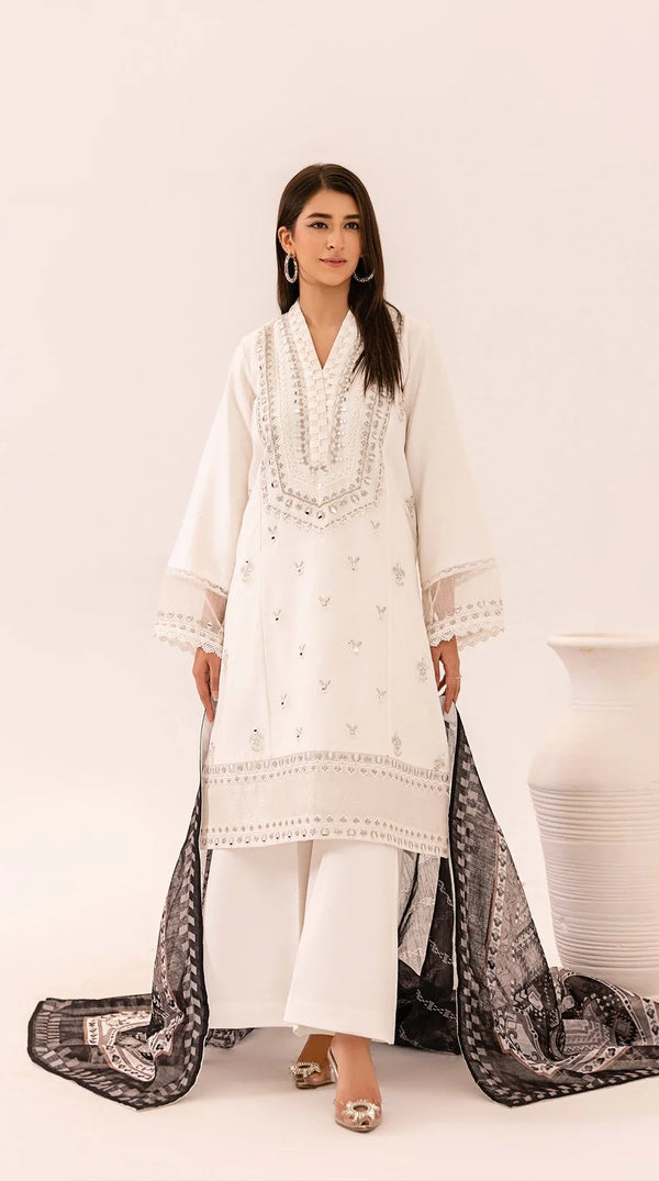White Khadi Net Embroidered Pakistani Kameez Suit – Mirror & Tilla Work