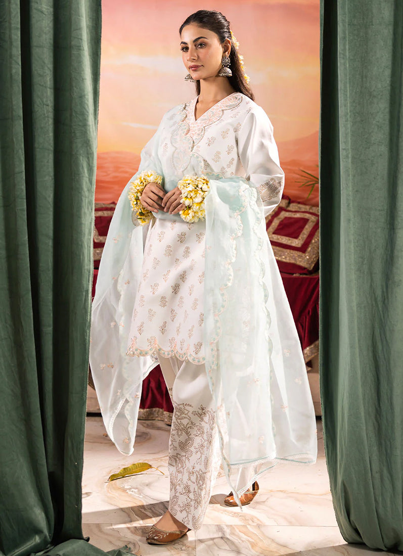 Sky Blue Silk Printed Suit Set