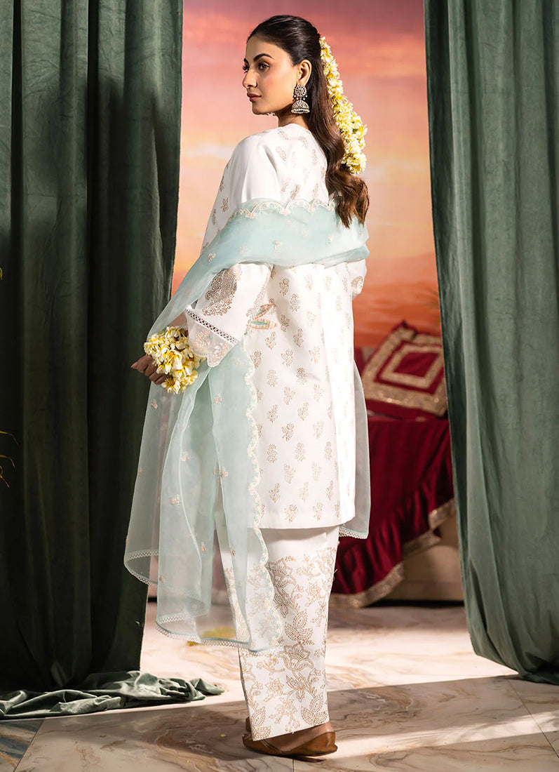 Sky Blue Silk Printed Suit Set