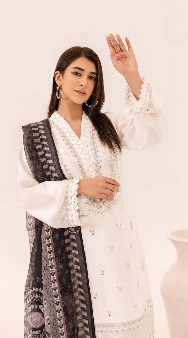 White Khadi Net Embroidered Pakistani Kameez Suit – Mirror & Tilla Work