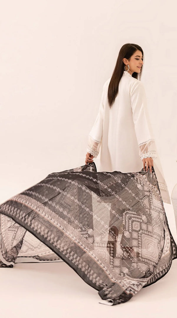 White Khadi Net Embroidered Pakistani Kameez Suit – Mirror & Tilla Work
